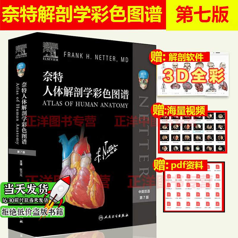 正版现货】奈特人体解剖学彩色图谱解剖图谱第7版七版解刨学书籍临床基础医学教材图书中英双语人卫医学法高性价比高么?