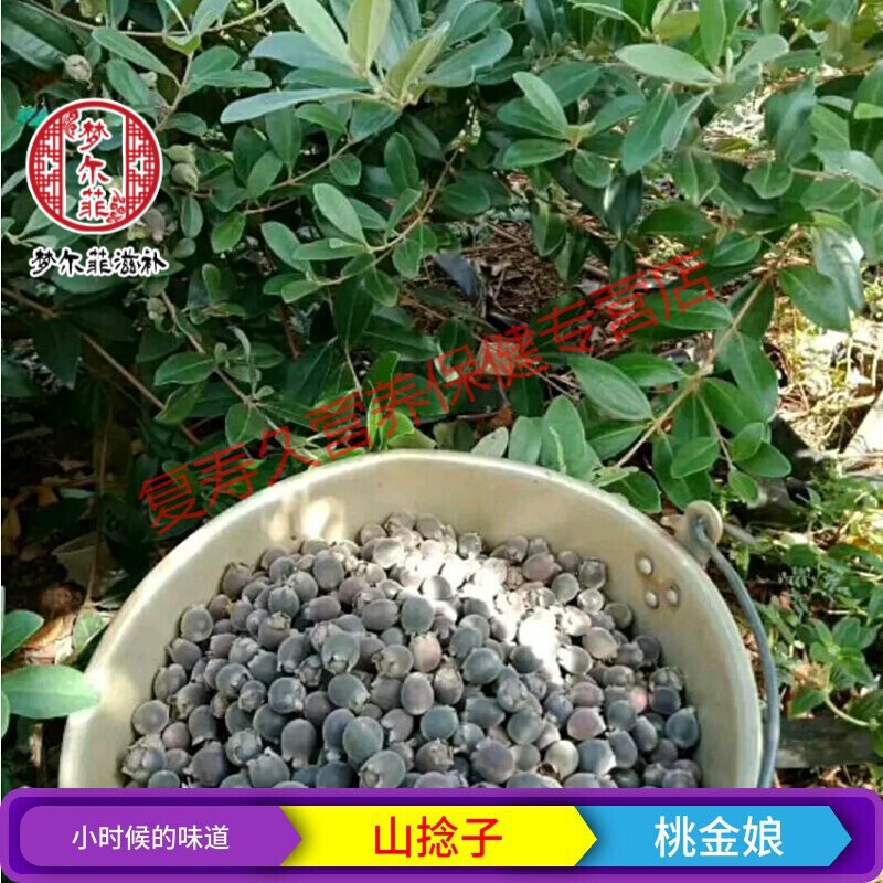 捻子干山稔子干山棯子果干多尼山念子果当泥桃金娘野生新鲜泡酒料