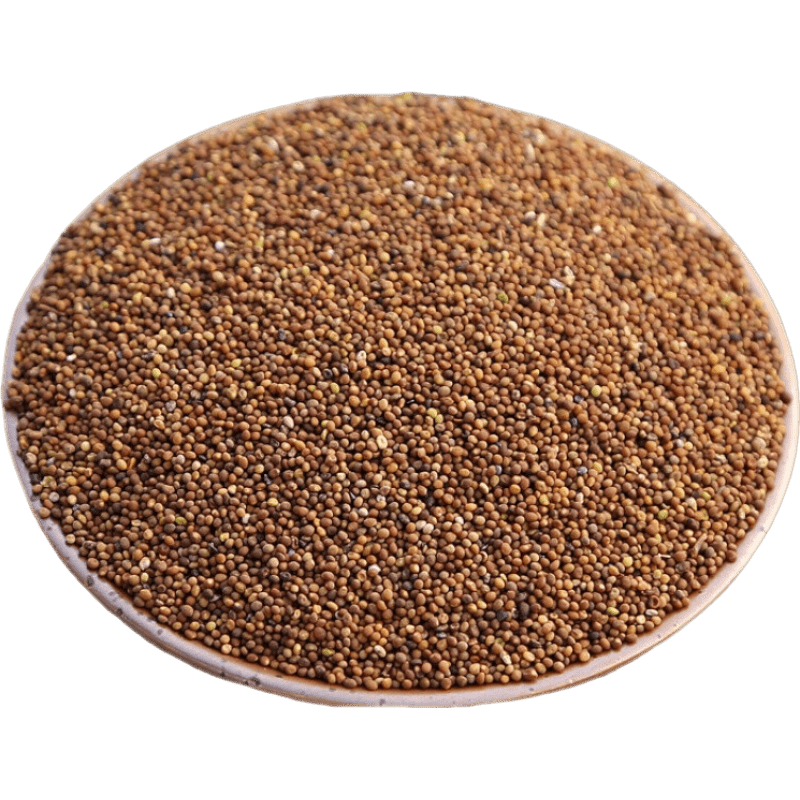 菟丝子 中药材 500g 兔丝子 g 兔丝子