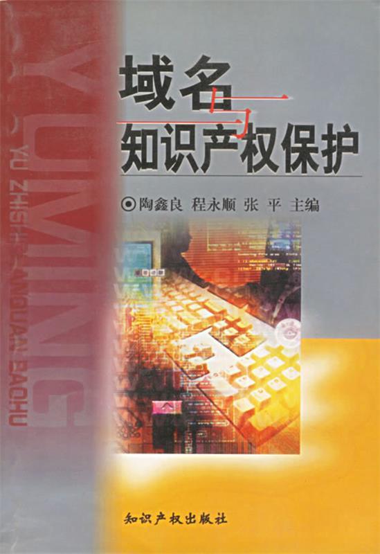 域名与知识产权保护