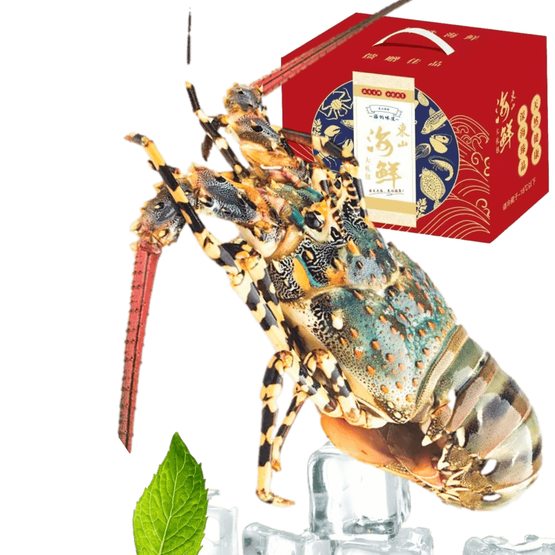 ʱ¶ɽϺ廨ϺϺ 1.1-1.3/ֻ