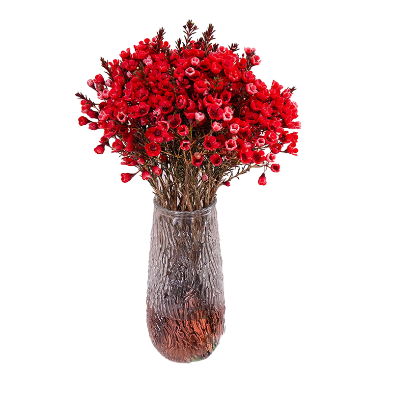 ���ڲ����������ʻ���ɫ��÷���л����ϻ��غ�ɫ��÷3-5֦Դͷֱ��