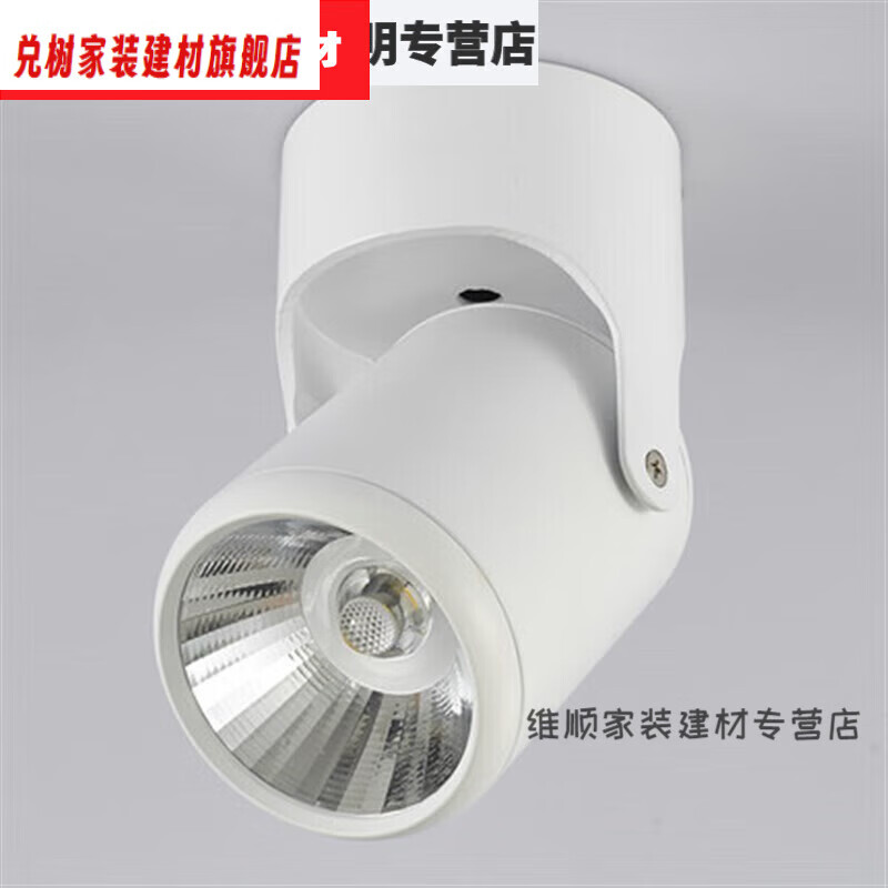 白色款10w暖白光3000k全光