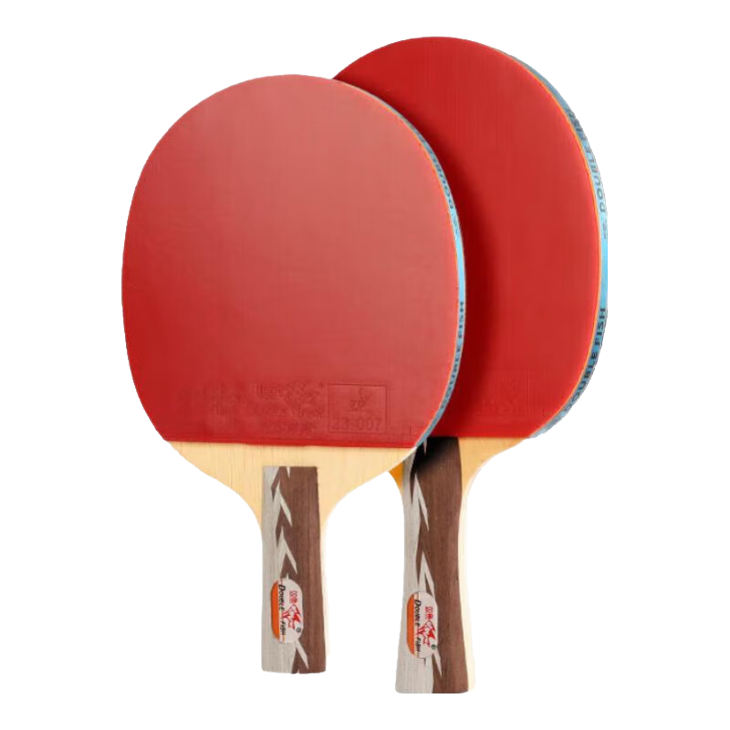 ���ڲ�����˫�㣨DOUBLE FISH��ƹ������רҵ������ѵ��ֱ�ĺ��Ķ�ͯ����ƹ��������������ӱɯ 5��D ���� ���ļ�ֱ��