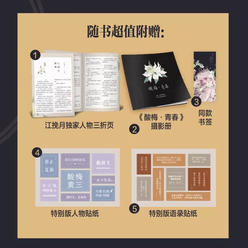 酸梅(附全新 番外)黄三作品 酸梅实体书花火青春校园双向救赎成长小说