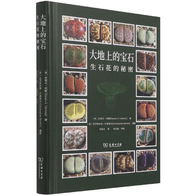天然宝石百科书籍有哪些(天然宝石百科书籍有哪些类型) 第1张