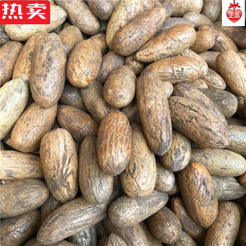 snqp千眼菩提子原籽原料大小果阴皮绿果文玩吊把玩 吊坠钥匙扣精巧