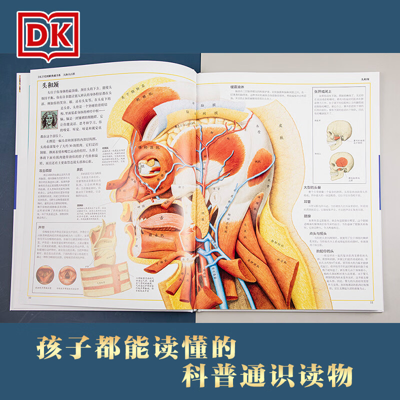 人体大百科(精)/DK手绘图解典藏书系详情图
