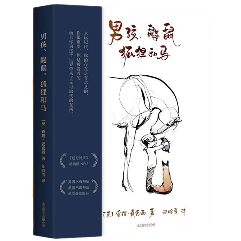 自营包邮 男孩、鼹鼠、狐狸和马 樊登、三川玲真情推荐 奥斯卡获奖动画短片原著 当代《小王子》