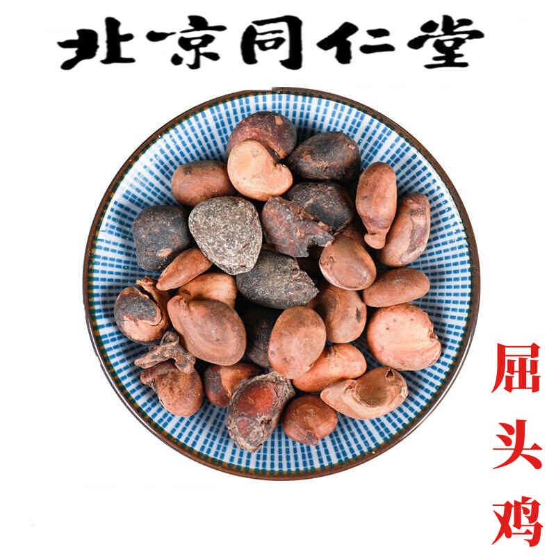 北京同仁堂 屈头鸡 500g品质中药材新货 树屈头鸡马金南 250克