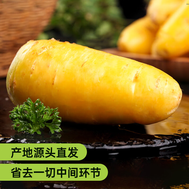 新疆直发糖心黄萝卜手抓饭黄胡萝卜非有机生吃新鲜蔬菜甜水果 糖心黄萝卜5斤(热卖装)