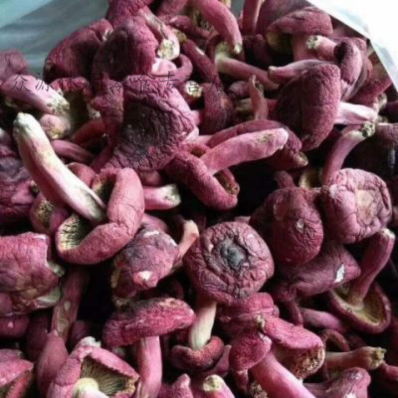 风鲜仓广西容县特产红菇月子茹特级红菇 广西容县特产红菇月子茹特级