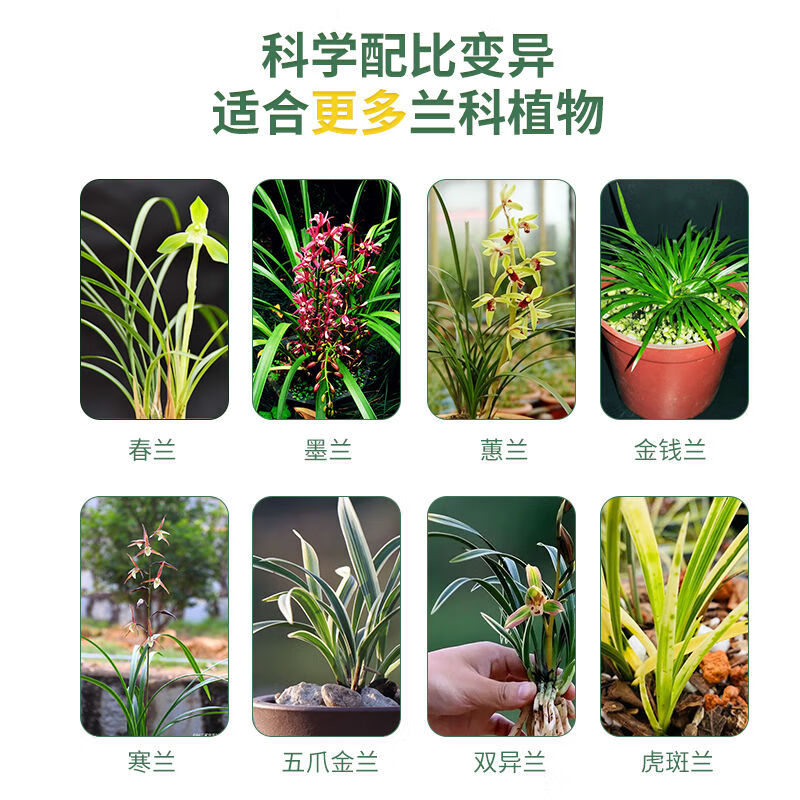 【兰花出艺快】促兰草变异免培育直接喷刺激变异因子促变诱导剂 兰花促变异 五瓶装
