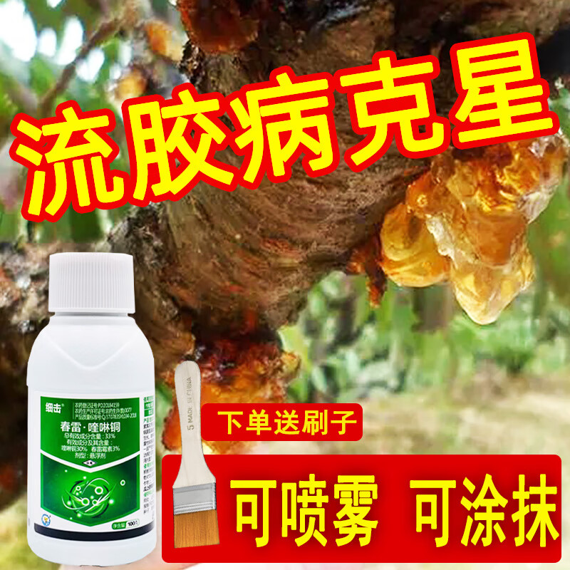 细击桃树专用药流胶病药穿孔病根腐病腐烂病果树 100g