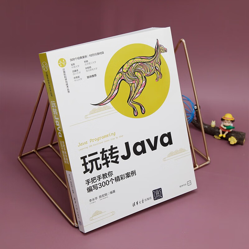 玩转Java--手把手教你编写300个精彩案例（计算机科学与技术丛书）