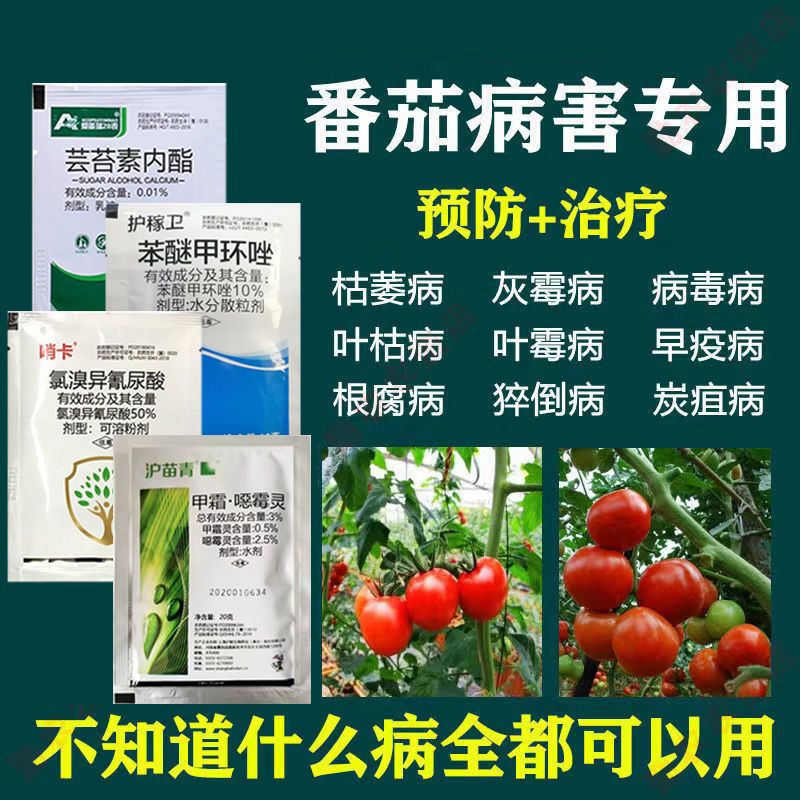 绿土岭西红柿杀菌剂番茄专用药霜霉病白粉病脐腐病溃疡病立枯病番茄