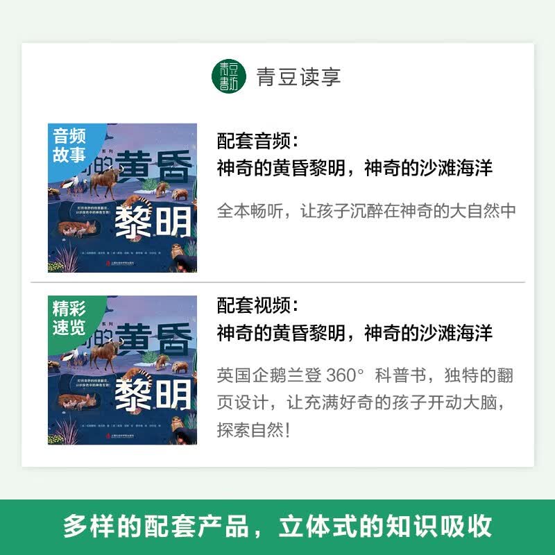 神奇的地上地下系列（神奇的沙滩海洋+神奇的黄昏黎明）创意翻页，自然科普自然观察美景图画科普启蒙详情图
