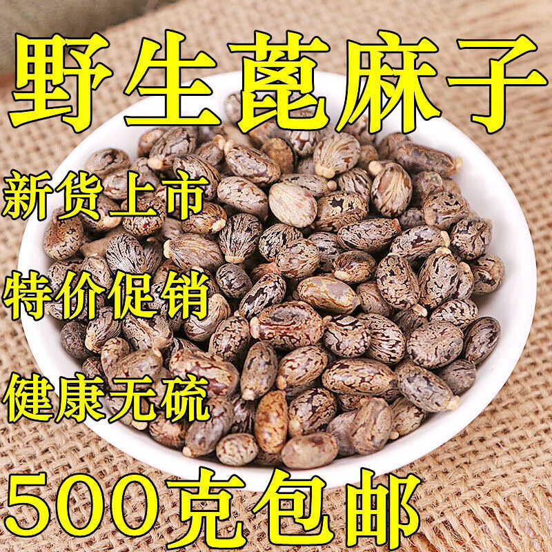 蓖麻子中药材新鲜干货蓖麻籽500g克包邮天然野生红麻子蓖麻仁 蓖麻子