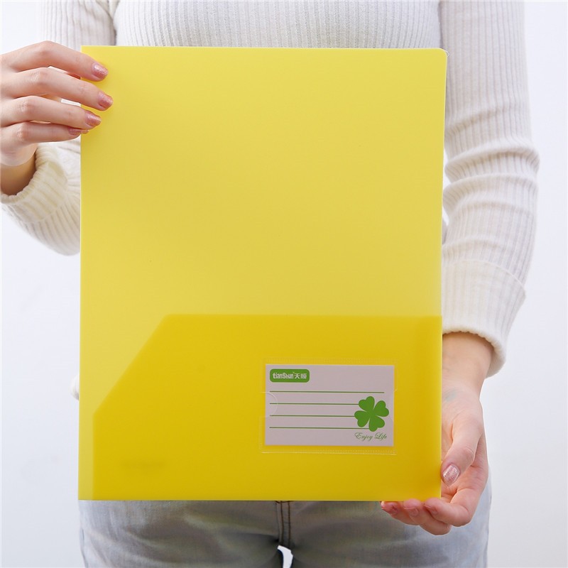 天顺双兜夹两页插袋夹双插袋a4文件套/双面资料夹/双插袋文件袋磨砂