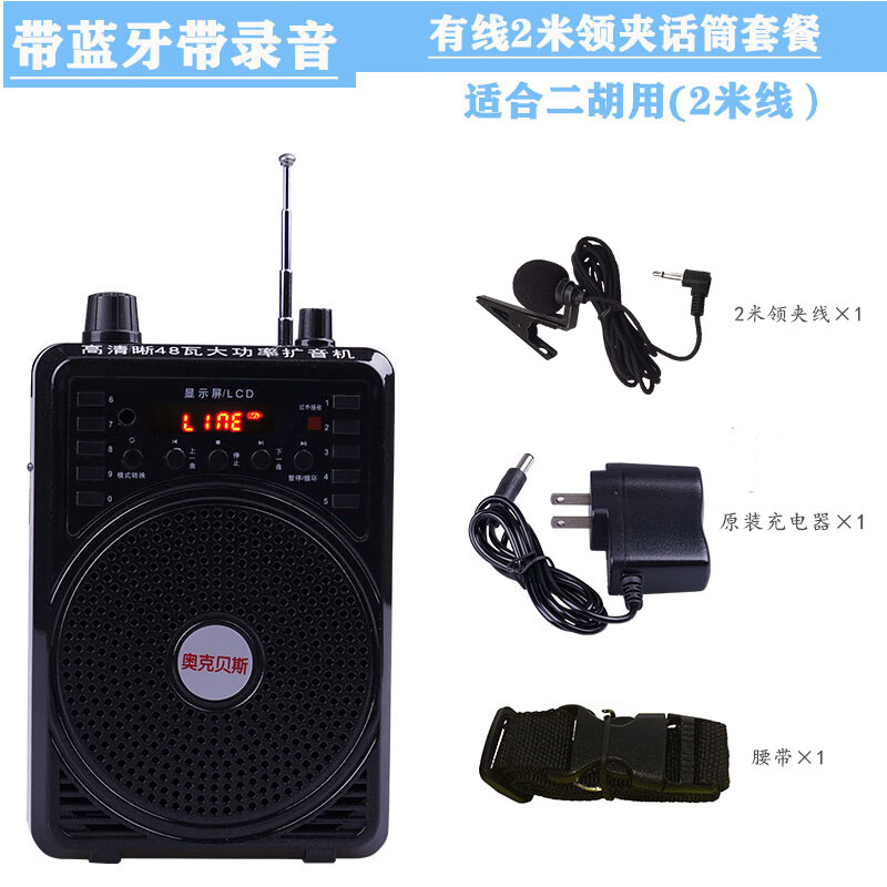 小蜜蜂二胡扩音器二胡笛子扩音机教师扩音器无线大功率多功能音响