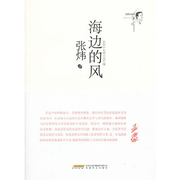 海边的风 9787539643144