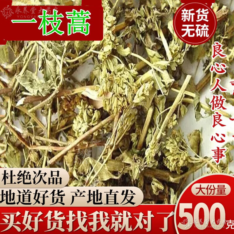 一支蒿一支蒿中药材 一枝蒿 蜈蚣草 蓍草 飞天蜈蚣500克hs 00克hs