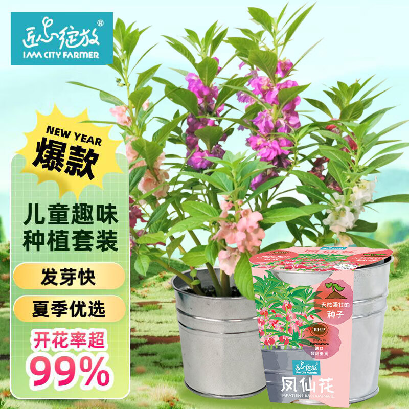 网络绿植盆栽商品历史价格查询|绿植盆栽价格比较
