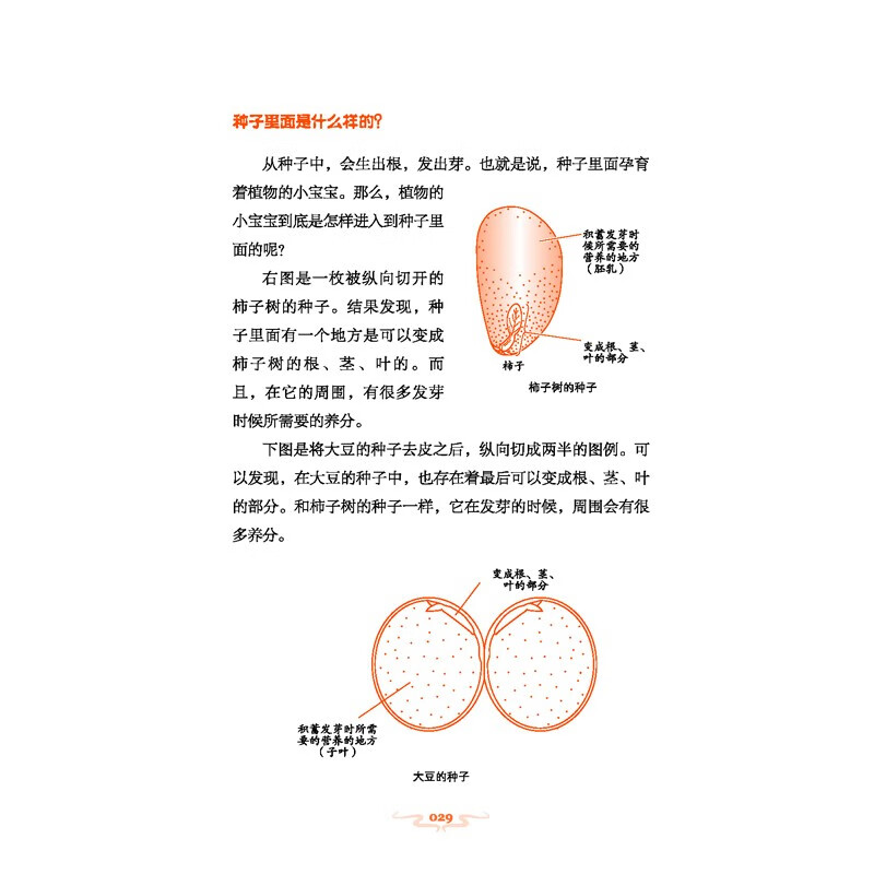 令人着迷的科学知识（全4册） 囊括小学1-6年级科学知识点 培养孩子科学思维和动手能手的趣味读物 详情图