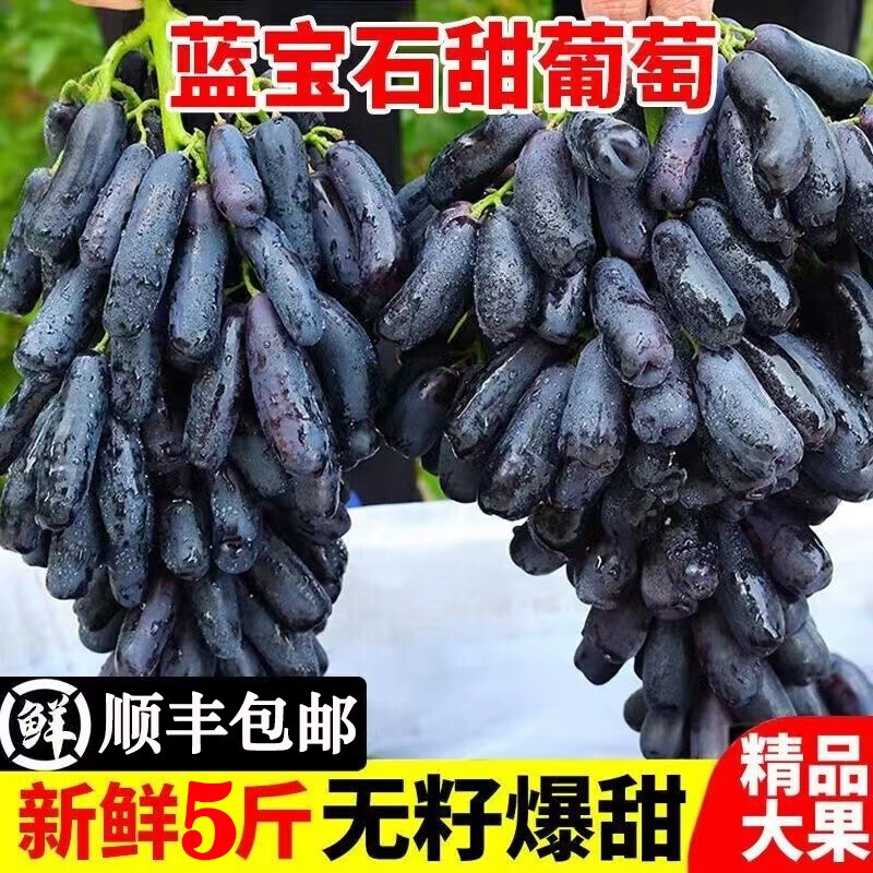 怎么看葡萄提子的价格走势曲线|葡萄提子价格走势图