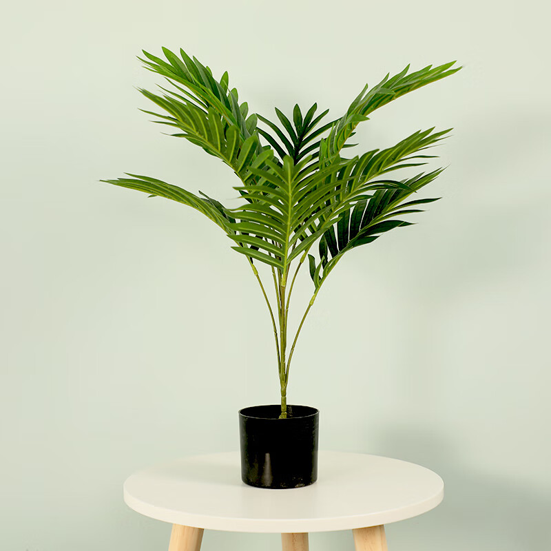 战舵北欧仿真绿植散尾葵室内装饰凤尾葵落地假树植物盆栽大型摆件盆景