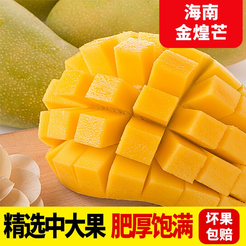 十记庄园 海南金煌芒水仙芒 新鲜水果三亚生鲜芒果 3斤(单果200-300g)