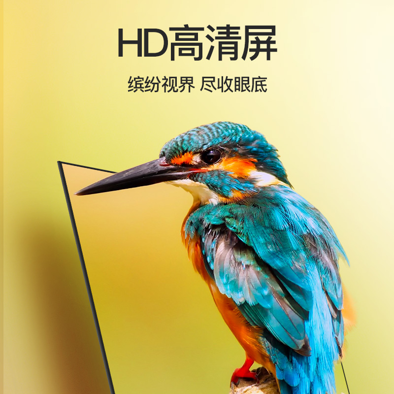 乐视（Letv）32英寸电视  HD高清全面屏 1GB+8GB大存储 四核智能语音网络液晶平板卧室电视机 F32