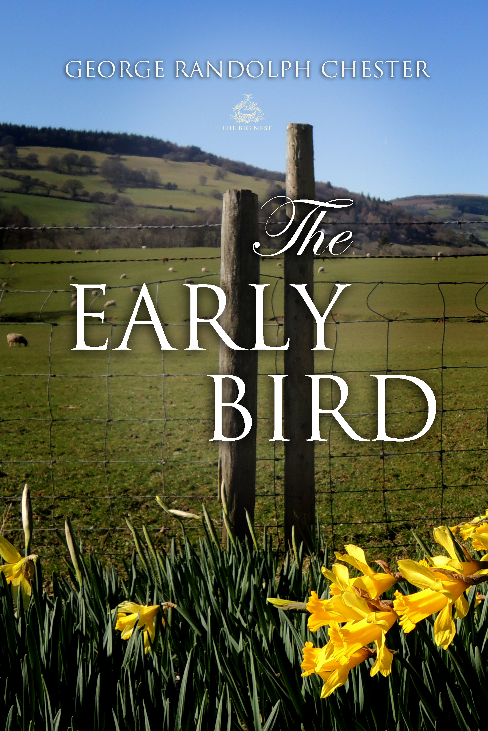 the early bird