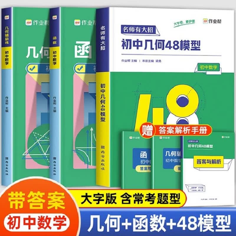 【科目自选】初中几何48模型几何辅助线函数初中数学专项训练 练习题压轴题 七八九年级解题通法与技巧训练练习册 作业帮 初一初二初三中考必刷题 RH
