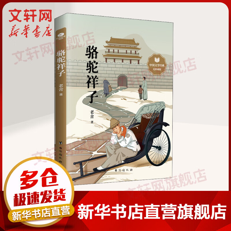 骆驼祥子 中国文学经典无障碍版 图书