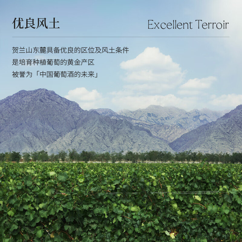 贺兰红国际版西鸽N28干红宁夏葡萄酒750ml 贺兰山国产红酒 中秋聚会送礼