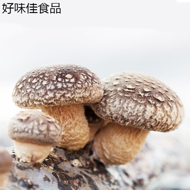 湖北特产干香菇干货菌菇农家小香菇冬菇珍珠菇250g 250g