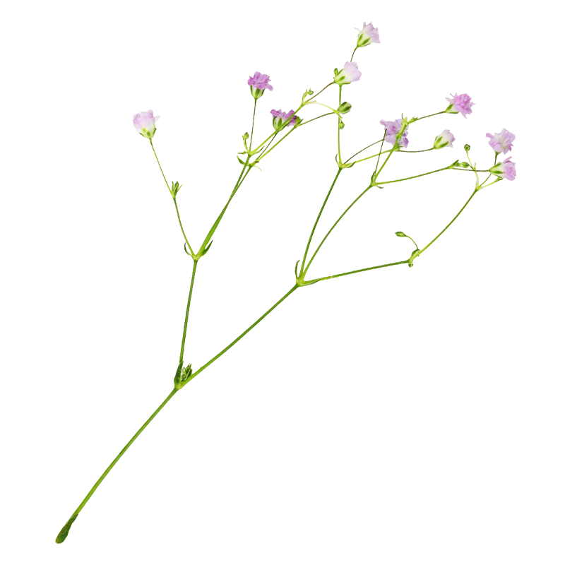 �ٺ� ���������������ɫ�ļ��������� ����������(��������ɫ)3000�� 9.8Ԫ