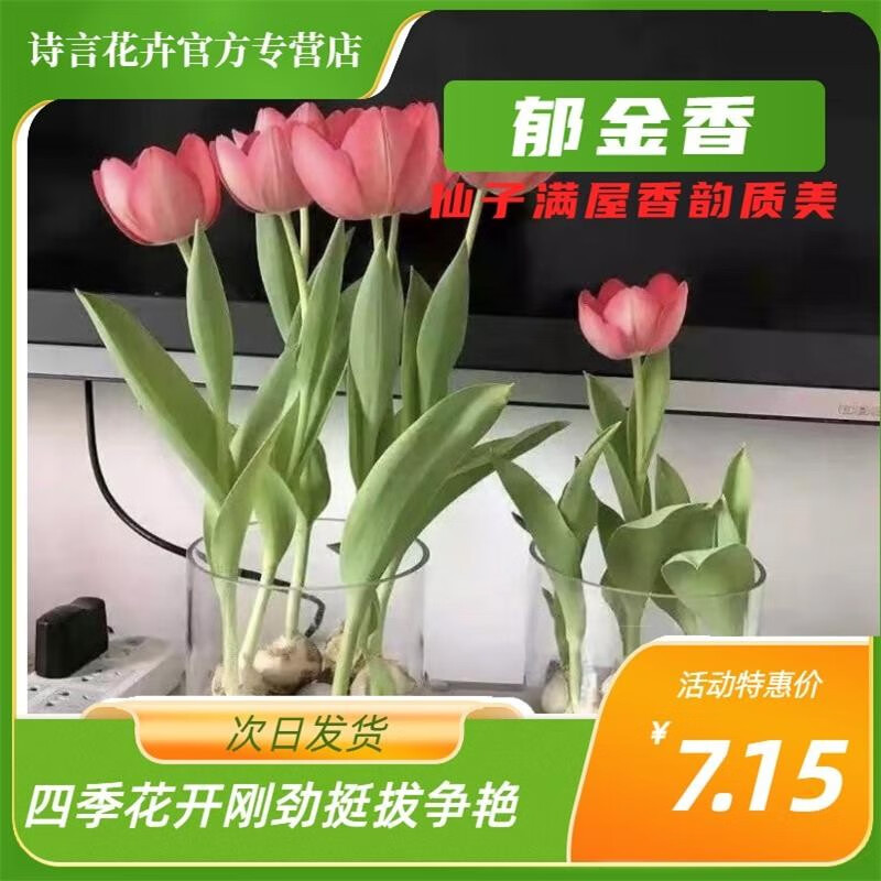 球根植物 相关京东优惠商品排行榜 价格图片品牌优惠券 虎窝购