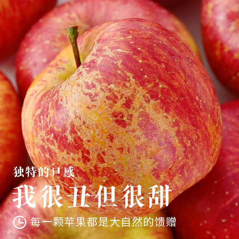 觅百果正宗云南昭通丑苹果冰糖心红富士新鲜水果应季当季整箱 净重9斤【70-80mm】脆甜多汁