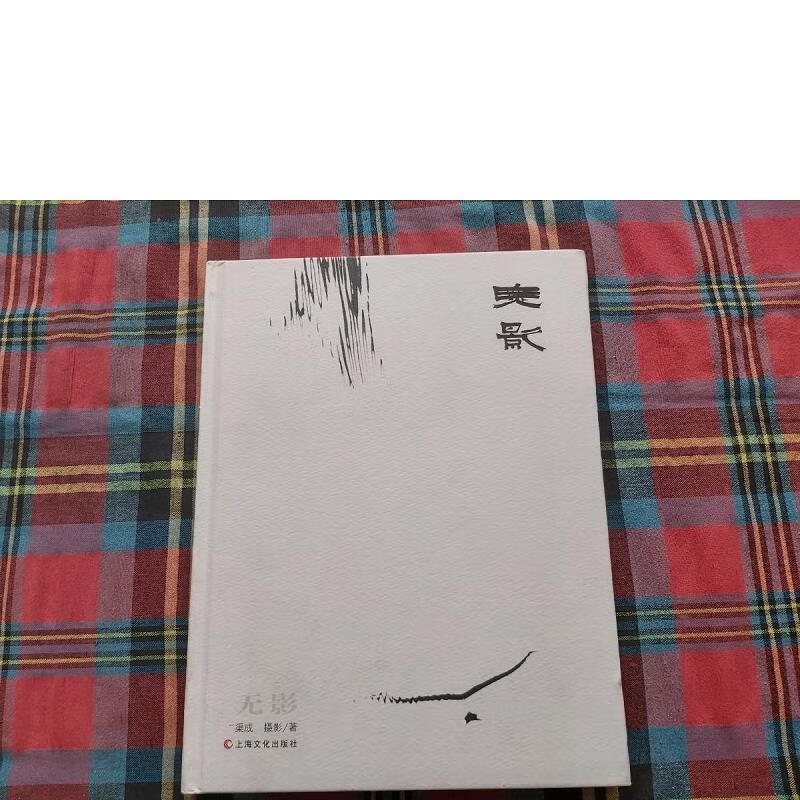 【正版】无影9787553501413上海文化出版社