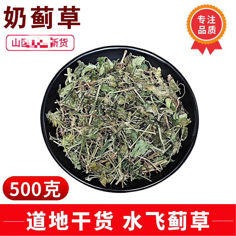 奶蓟草正宗乳蓟草新货500g山区药食滋补天然中草药野水飞蓟草