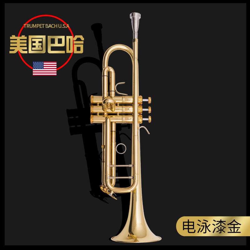 嘉谣原装巴哈小号乐器降b调三音小号初学考级演奏乐队学校180s-72品质