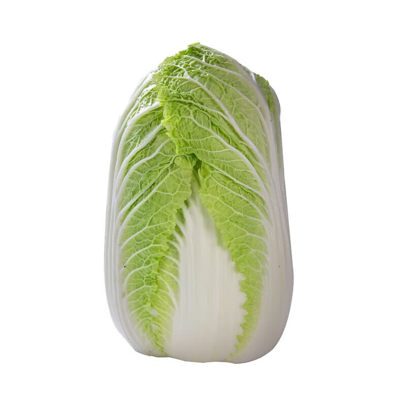 摩小鲜 核桃纹白菜1.5kg 1号店 源头直发
