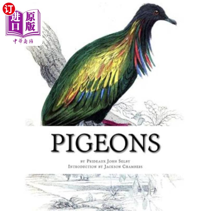 海外直订pigeons: pigeon classics book 9 鸽子:鸽子经典第九卷