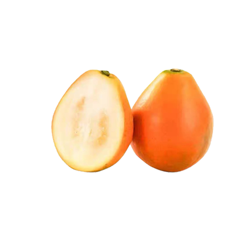 ������ �����ڰ����۽�� 2��װ ����12g+ ����ˮ�� Դͷֱ������ 24.9Ԫ(����ȯ)