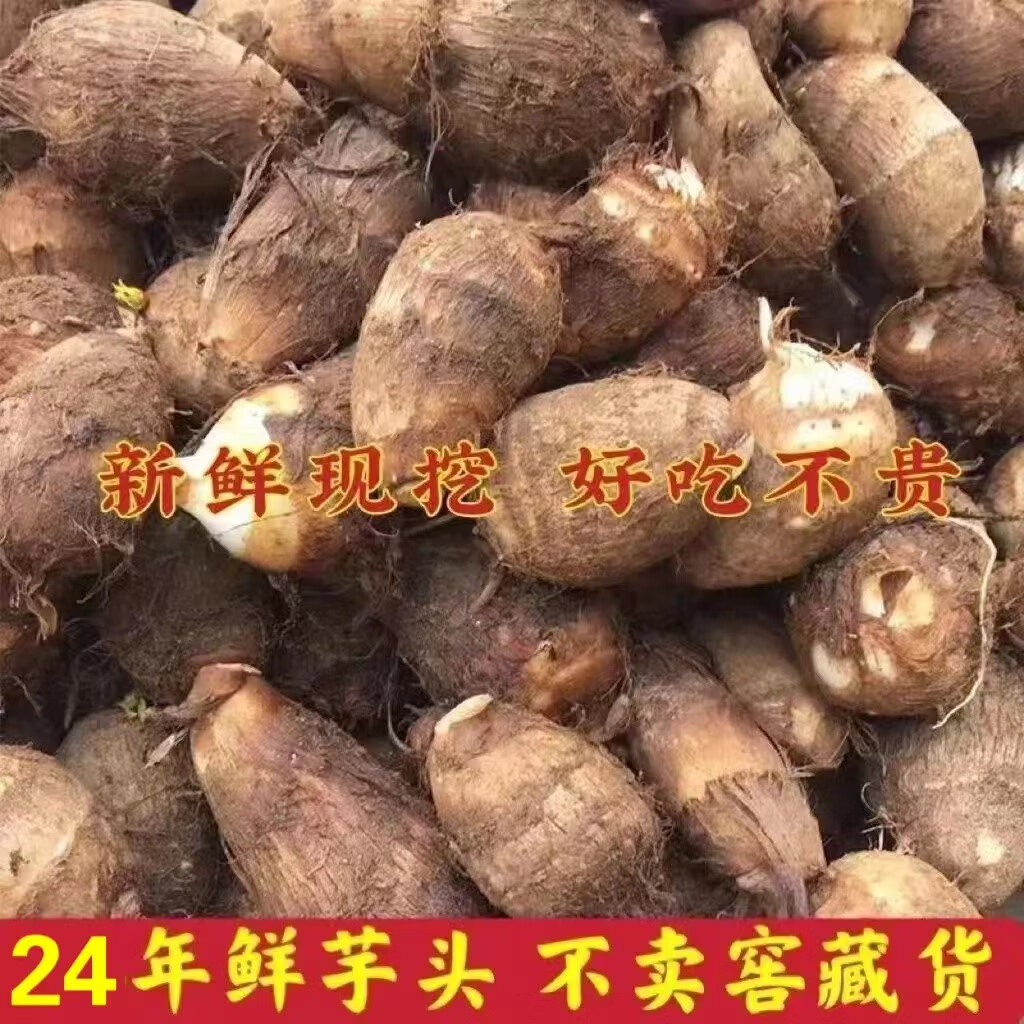 新鲜芋头山东牛奶小芋头毛芋头软糯粉香芋仔芋艿批发 10斤小果