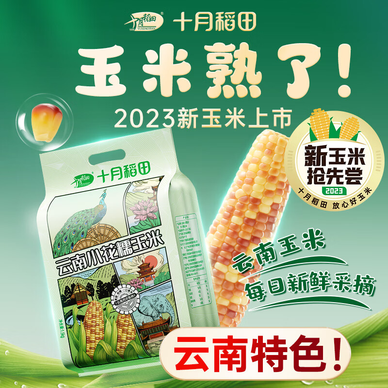 十月稻田 云南小花糯玉米1.5kg 西双版纳香糯新玉米 大拇指玉米 节日礼包使用感如何?