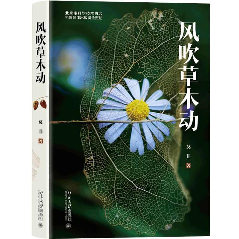 风吹草木动