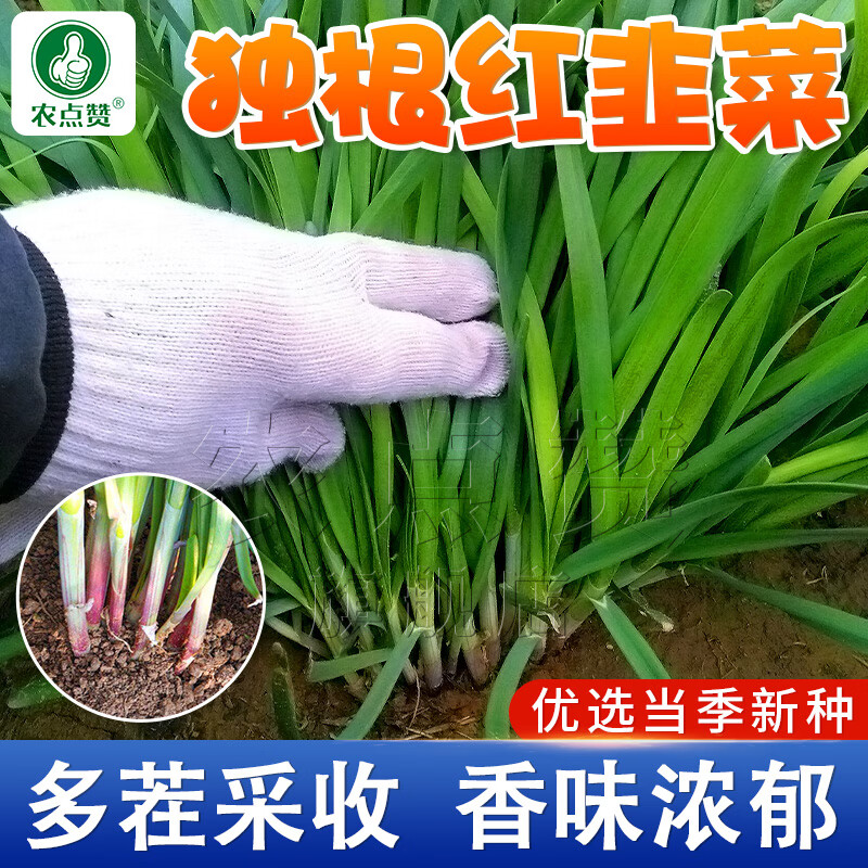 蔬菜类怎么看历史价格|蔬菜类价格历史